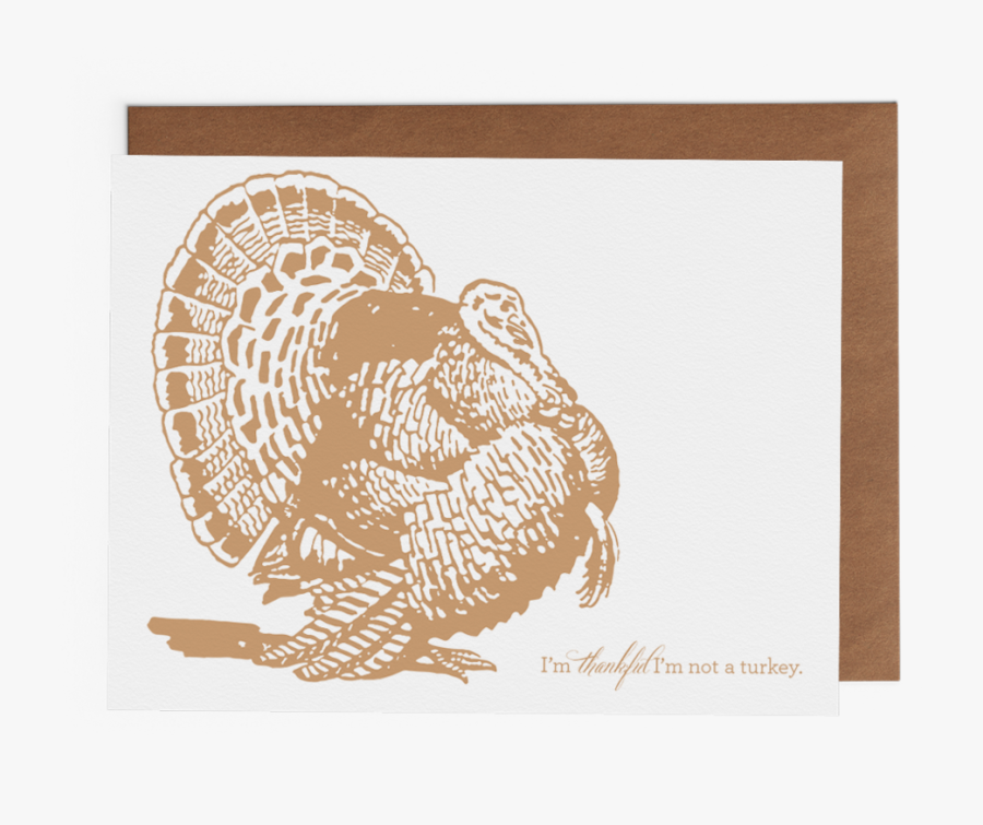 Transparent Ruffed Grouse Clipart - Turkey Hunting Black And White, Transparent Clipart