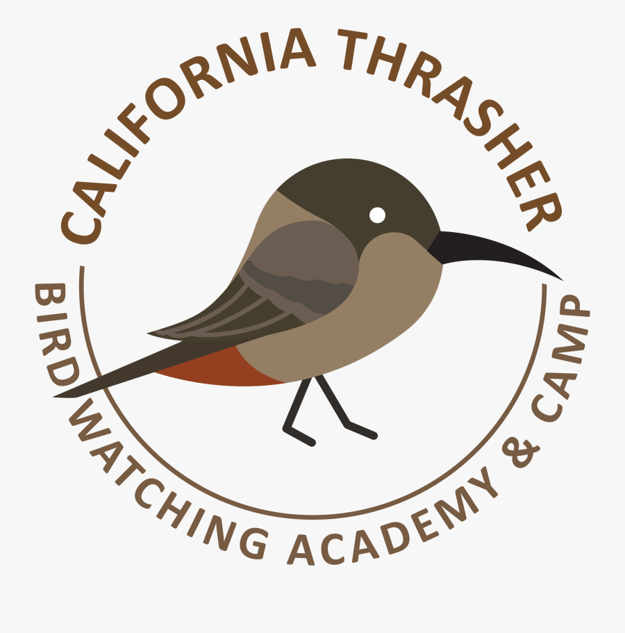 California Thrasher Picture - Erdöl, Transparent Clipart