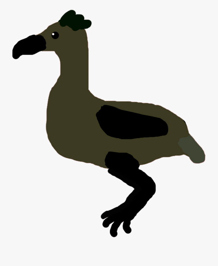 All Birds Wiki - Illustration, Transparent Clipart