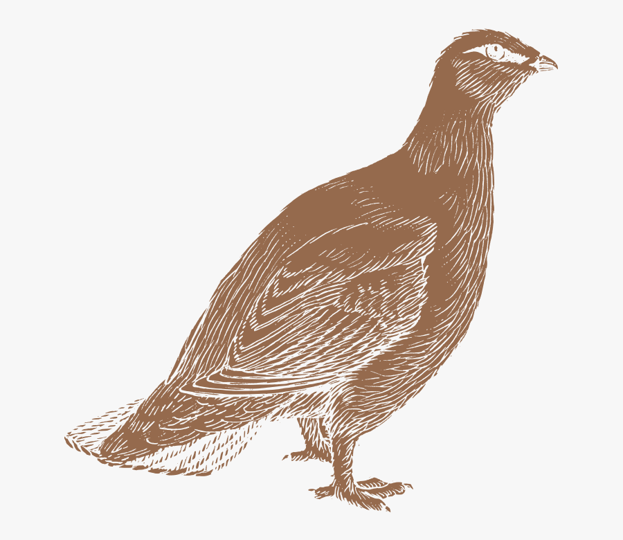 About Ptarmak - Quail, Transparent Clipart