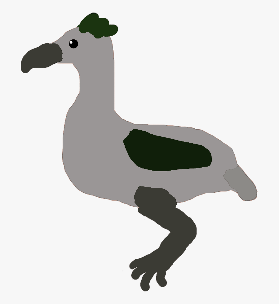 All Birds Wiki - Duck, Transparent Clipart