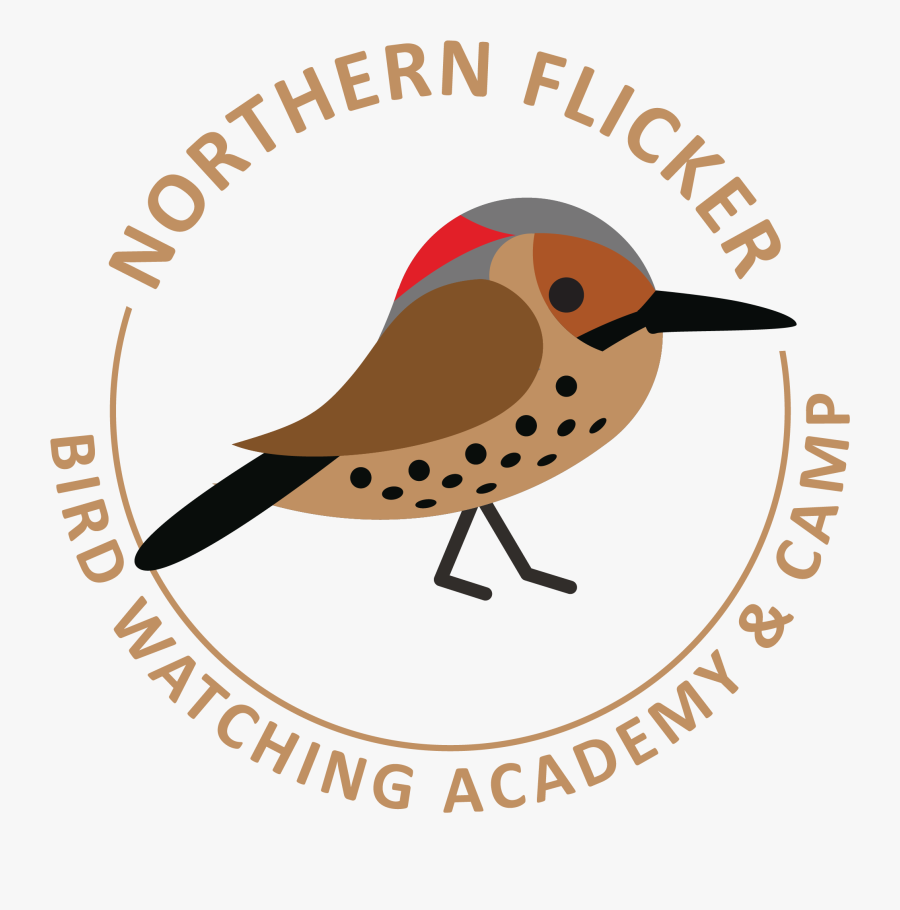 Songbird, Transparent Clipart