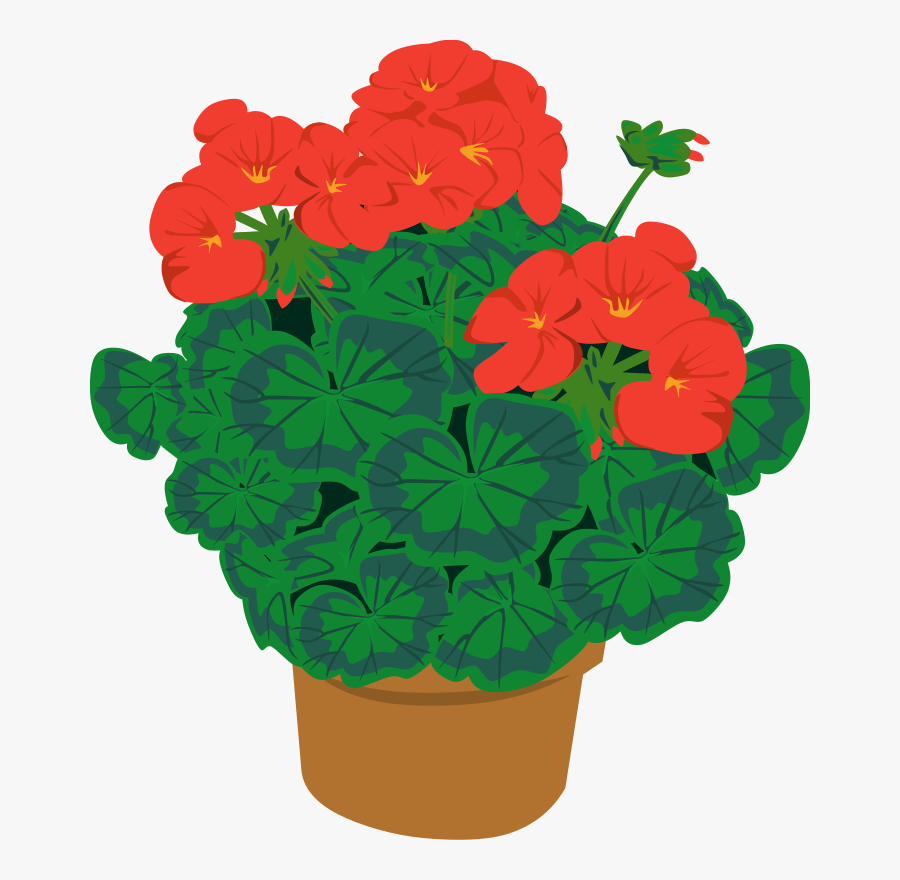 Pot Plants Clipart, Transparent Clipart