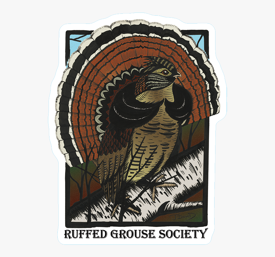 Turkey, Transparent Clipart