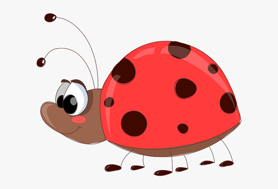 Ladybug, Transparent Clipart