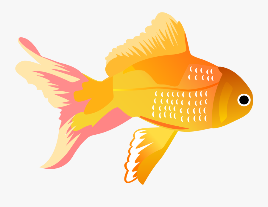 Koi Carassius Auratus Clip - Transparent Fish Vector Png, Transparent Clipart