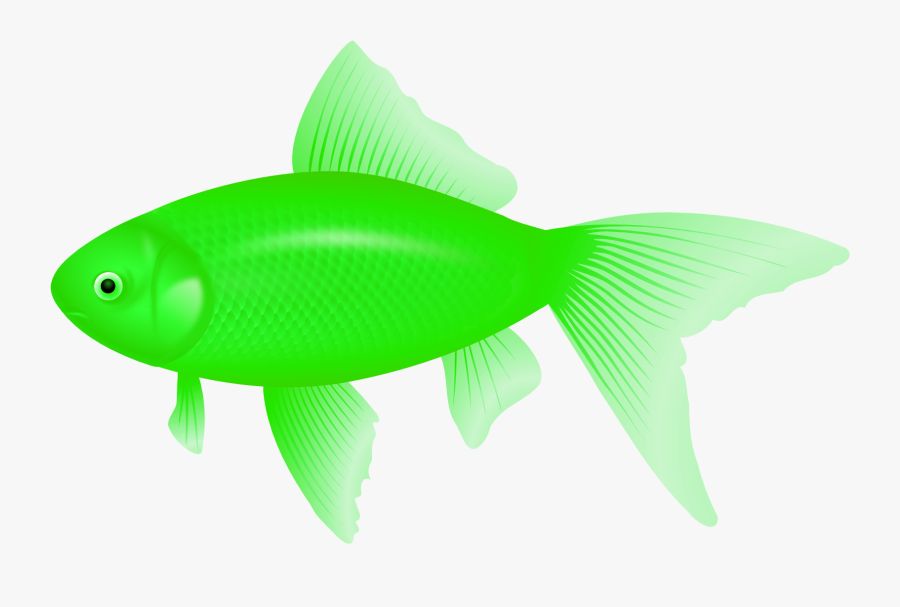 Clipart Of Fish, Ultra And Fish Of - Portable Network Graphics, Transparent Clipart