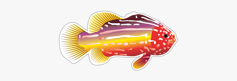 Fish Drawing Clip Art - Fish Gif Transparent Background, Transparent Clipart