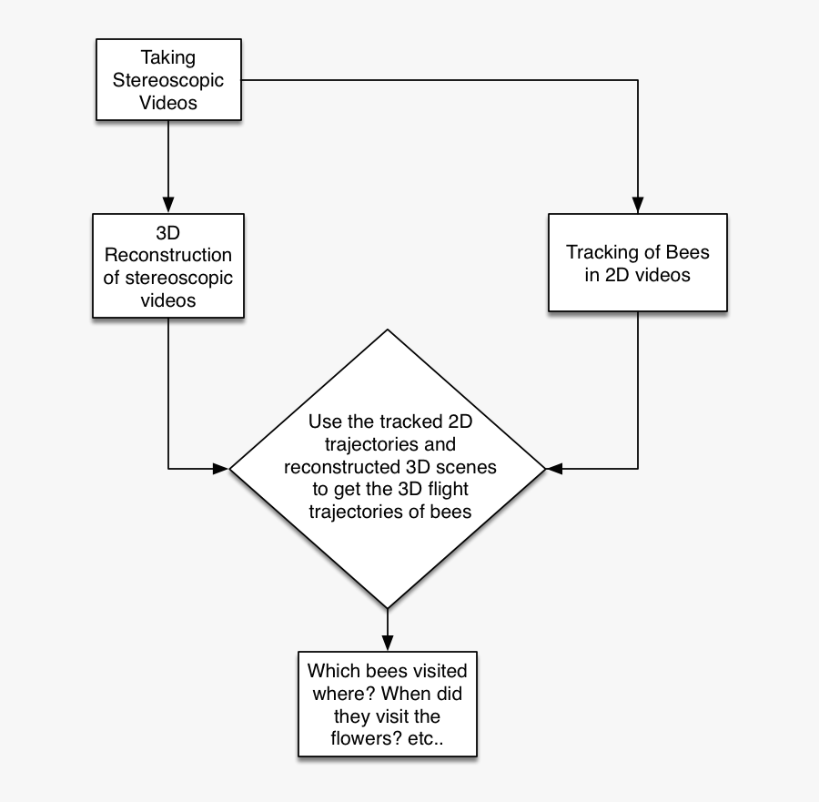 Triangle, Transparent Clipart