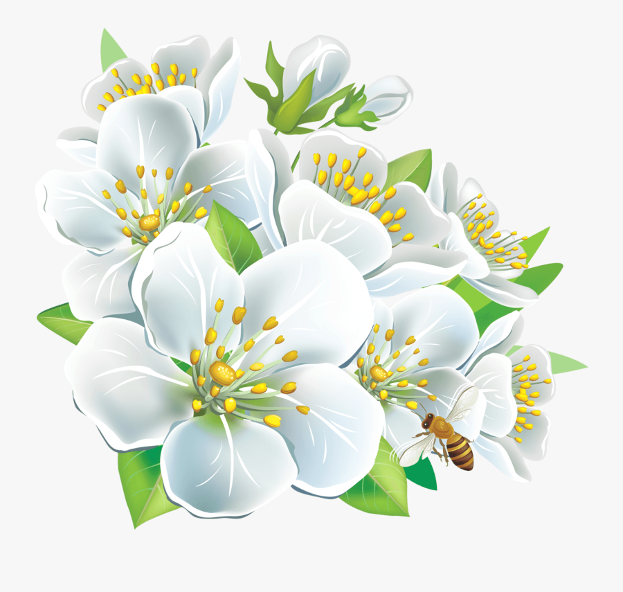Large White Flowers Png Clipart - White Flowers Clip Art, Transparent Clipart