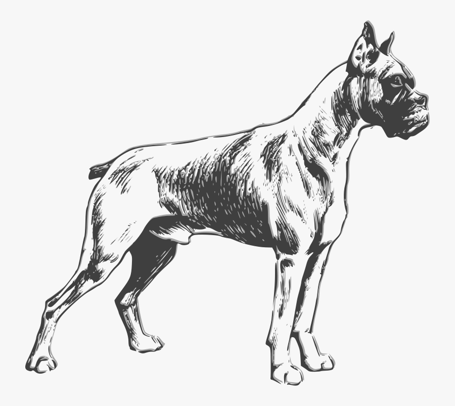 Boxer - Boxer Dog Vector Black And White, Transparent Clipart