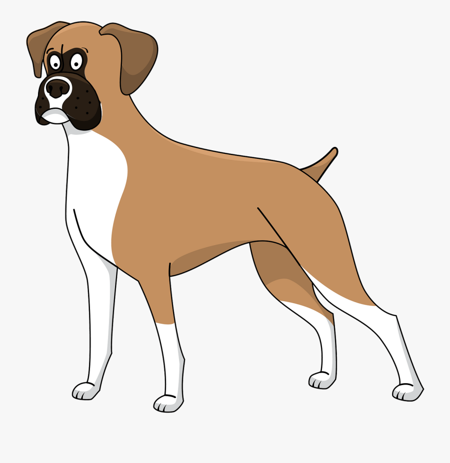 Boxer, Transparent Clipart