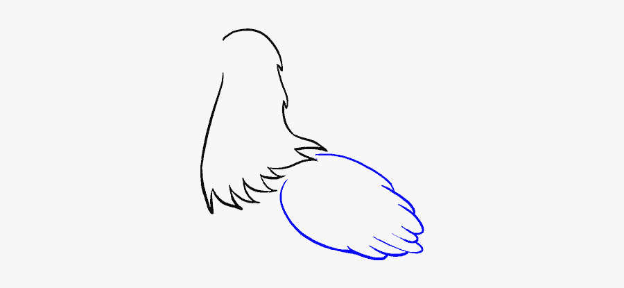 How To Draw Chicken - Sketch, Transparent Clipart