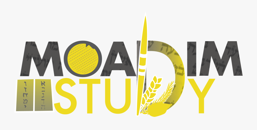 Graphic Design, Transparent Clipart