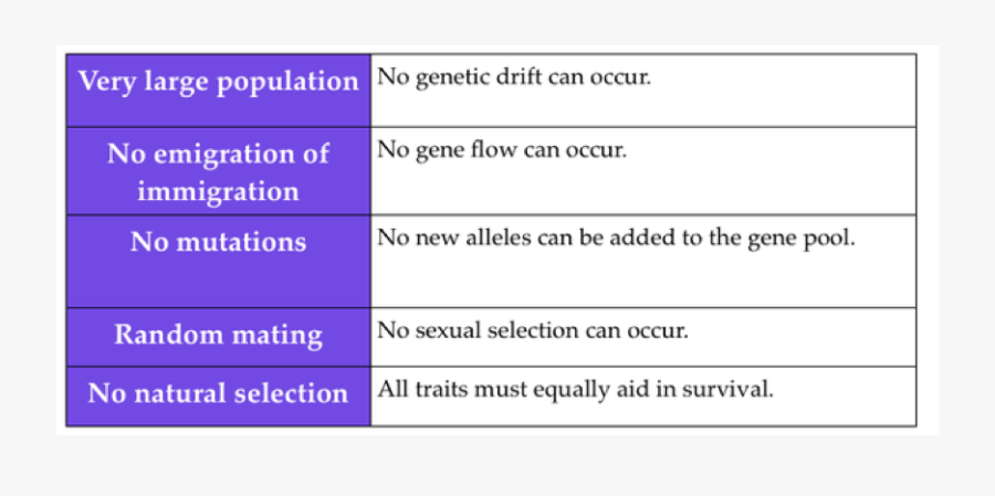 Screenshot, Transparent Clipart