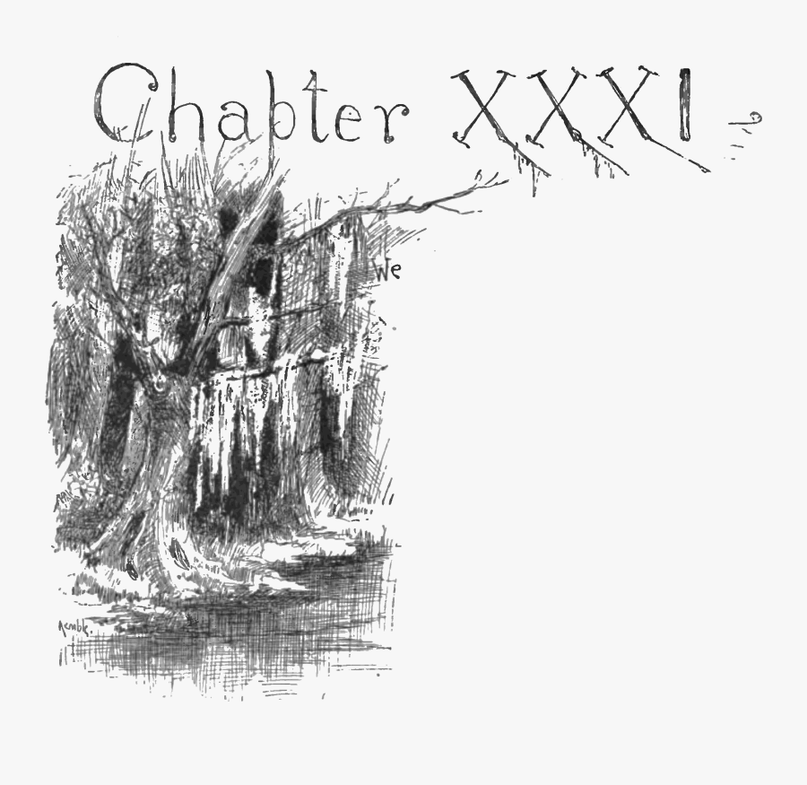 Adventures Of Huckleberry Finn 1885-p266 - Huckleberry Finn Swamp, Transparent Clipart