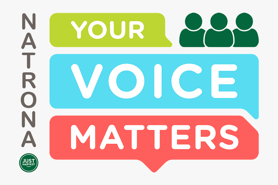 Graphic Design, Transparent Clipart