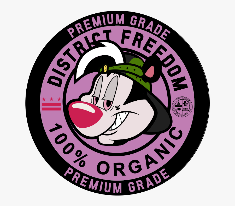 Circle, Transparent Clipart