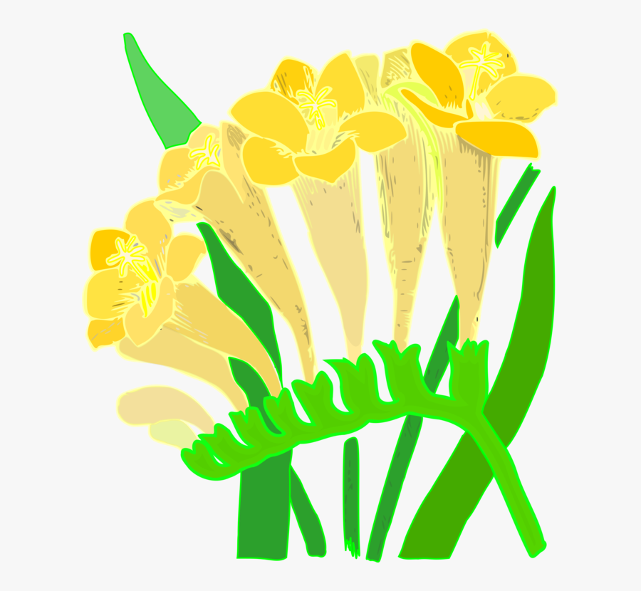 Text,artwork,grass Family, Transparent Clipart
