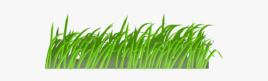 Grass Texture-1575459521 - Bush Png Cartoon, Transparent Clipart