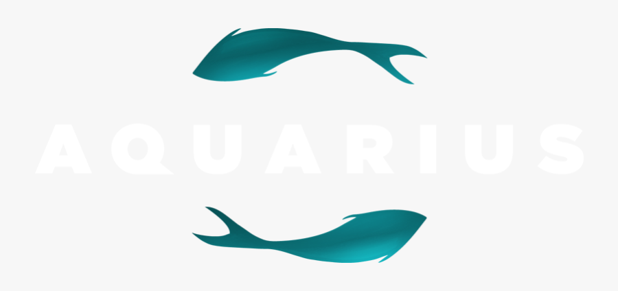 Aquarius Nyc - Whale, Transparent Clipart