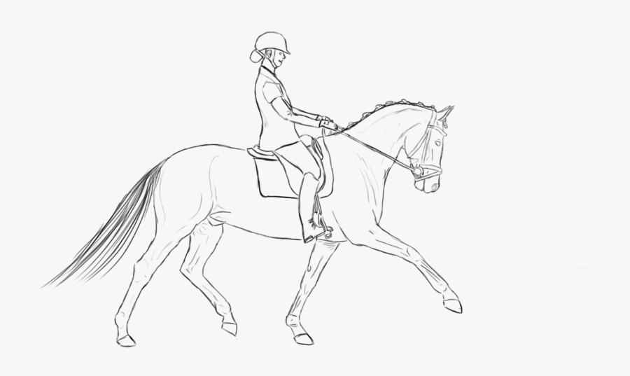 28 Collection Of Dressage Horse Coloring Pages - Dressage Horse Colouring Pages, Transparent Clipart
