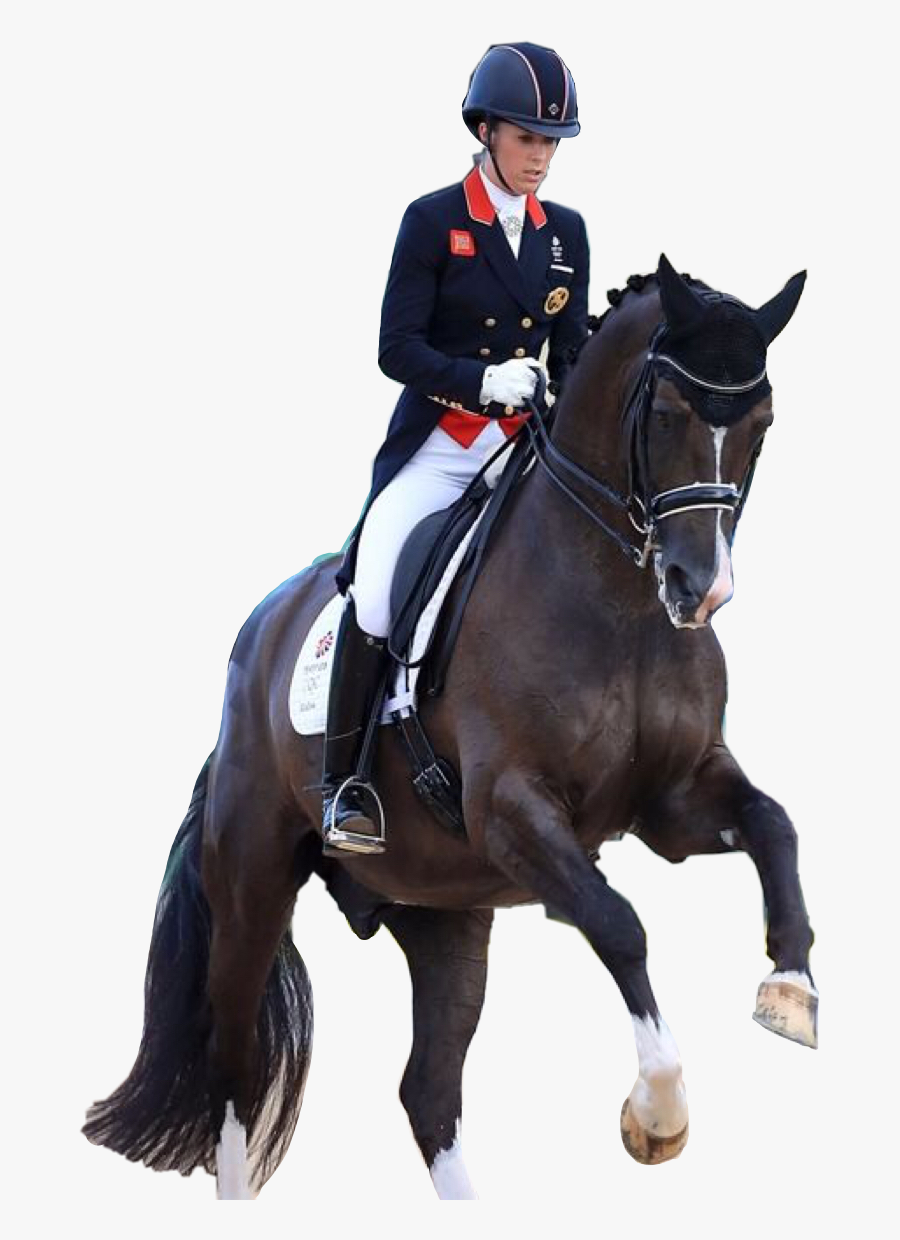 #valegro #dressage #horses #horse #horselove #horseriding, Transparent Clipart
