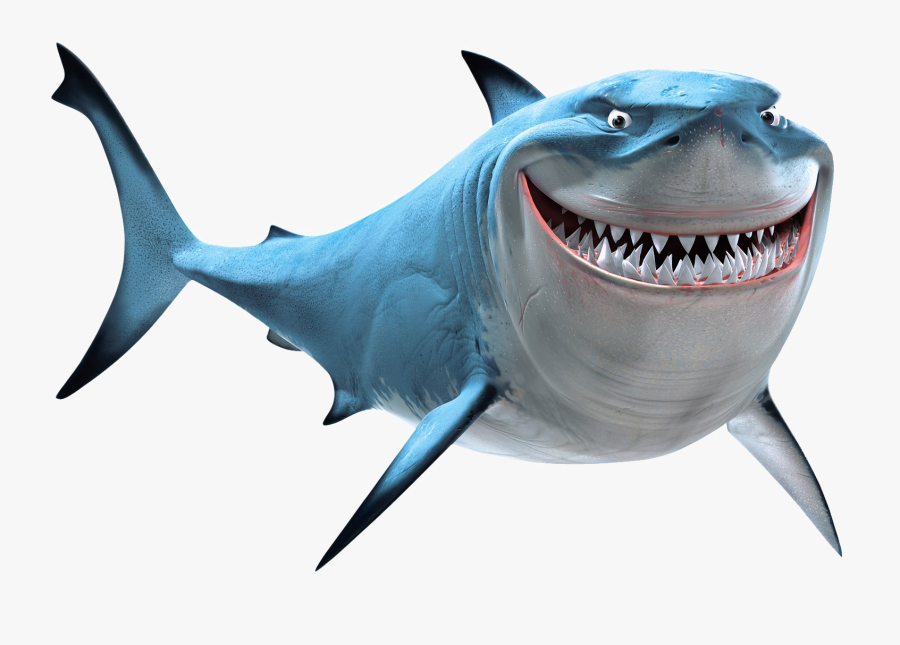 Shark Png - Transparent Background Shark Png, Transparent Clipart