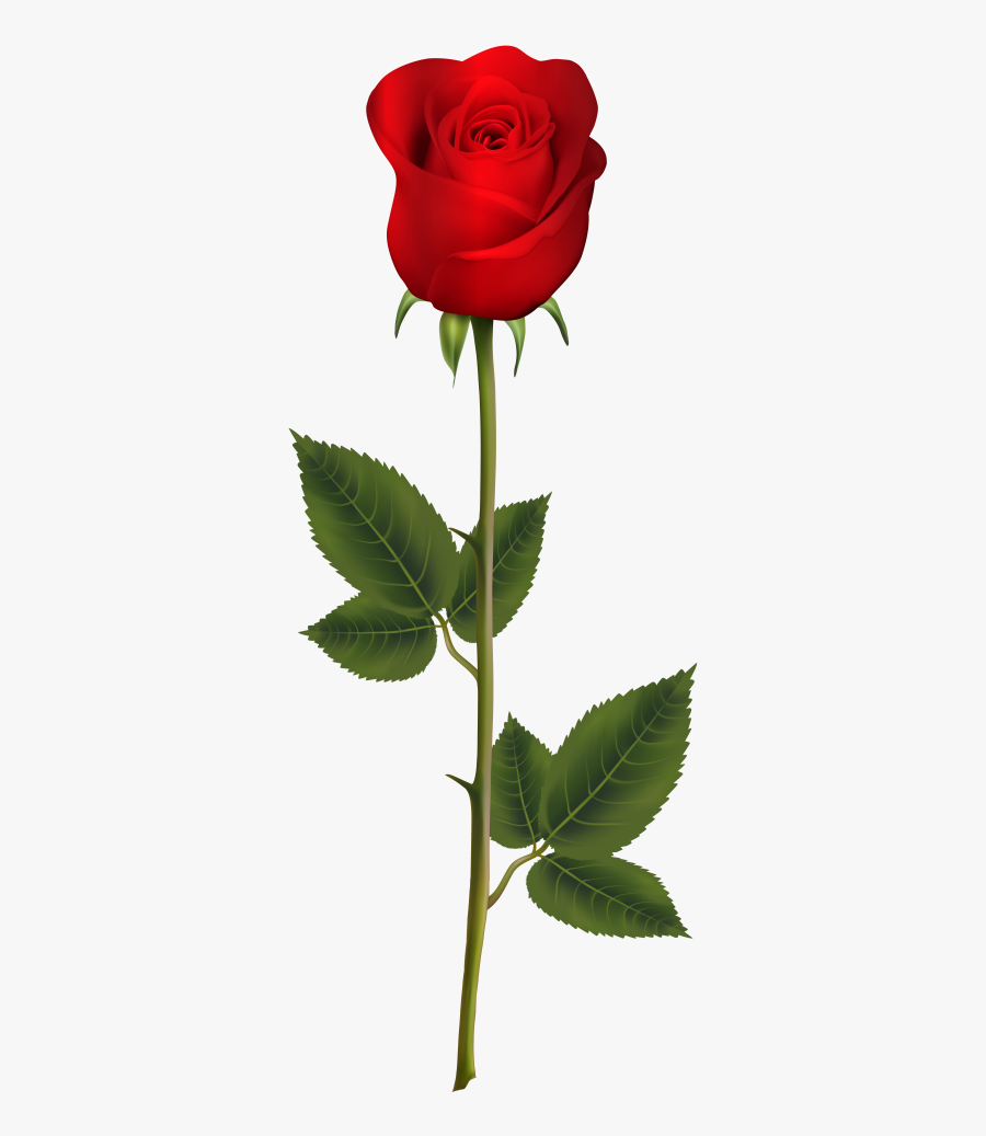 Red Rose With Stem, Transparent Clipart