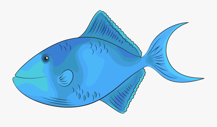 Coral Reef Fish, Transparent Clipart