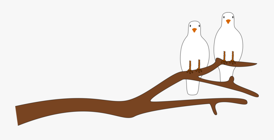 Dove On Branch Clipart, Transparent Clipart