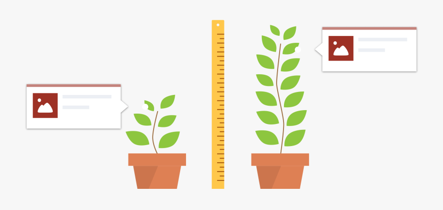 Competitive Intelligence Software For - Houseplant, Transparent Clipart