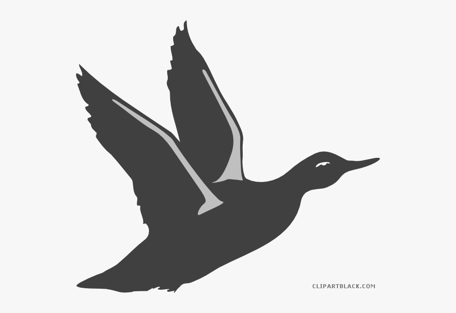 Duck Silhouette Animal Free Black White Clipart Images - Bird Take Off Silhouette, Transparent Clipart