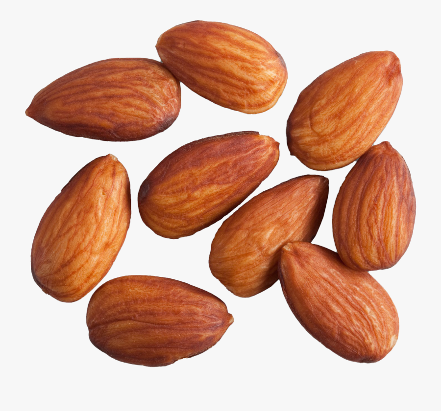 Almond Png Photo Image - Almond Roasted No Salt, Transparent Clipart