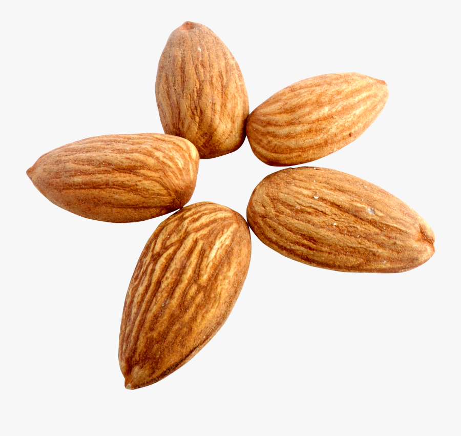 Almond Transparent Background - Almond Png, Transparent Clipart