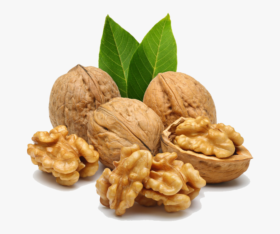 Walnut Png Image - Walnuts Png, Transparent Clipart