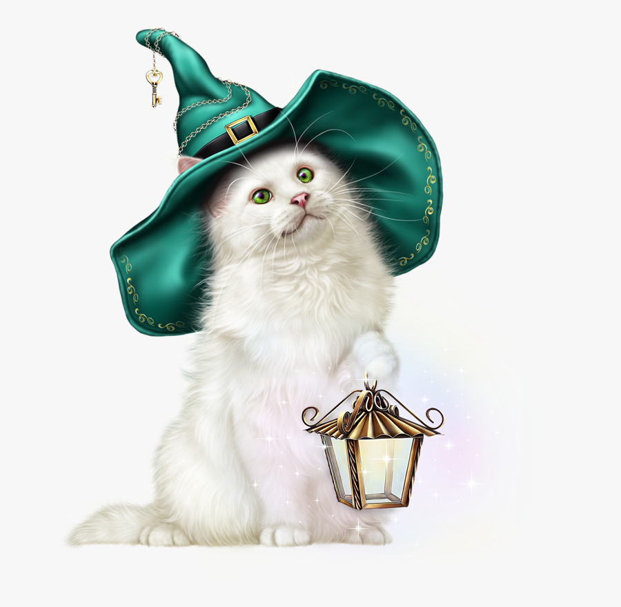 Vector Cat Persian - Tube Laguna Png, Transparent Clipart