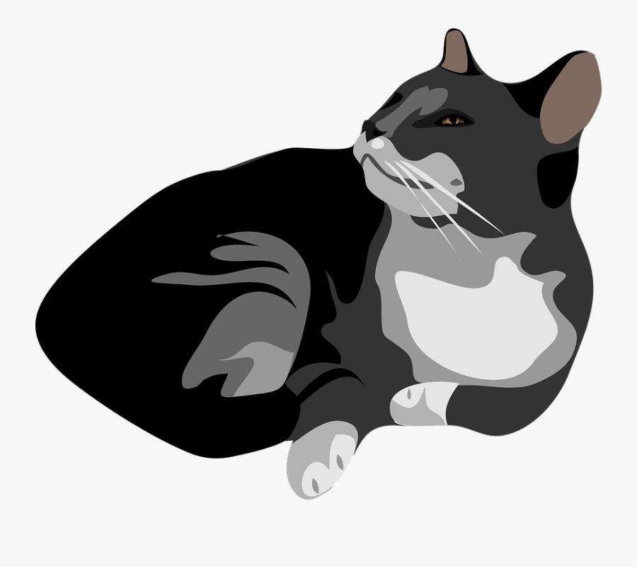 Feine Clipart Catl, Transparent Clipart