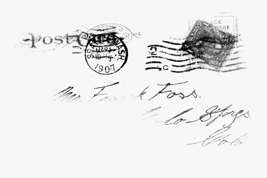 Pilot Bears Clipart - Sketch, Transparent Clipart