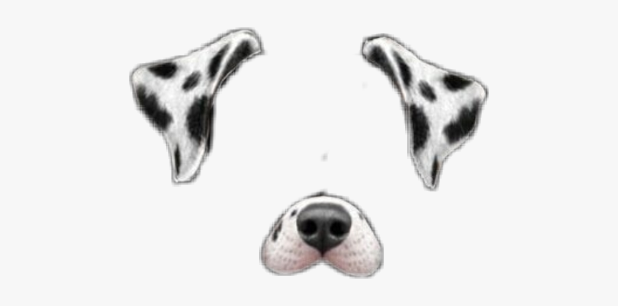 #dog #dalmatian #puppy #filter #snapchat #filters - Snapchat Dalmatian Filter Png, Transparent Clipart