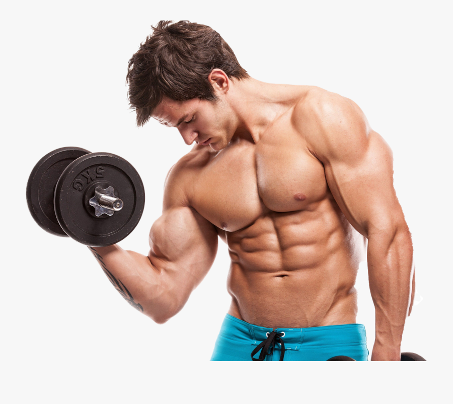 Bodybuilding Png Image Download - Do Muscles Grow, Transparent Clipart