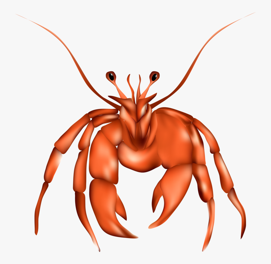 Transparent Lobster Clipart - Illustration, Transparent Clipart