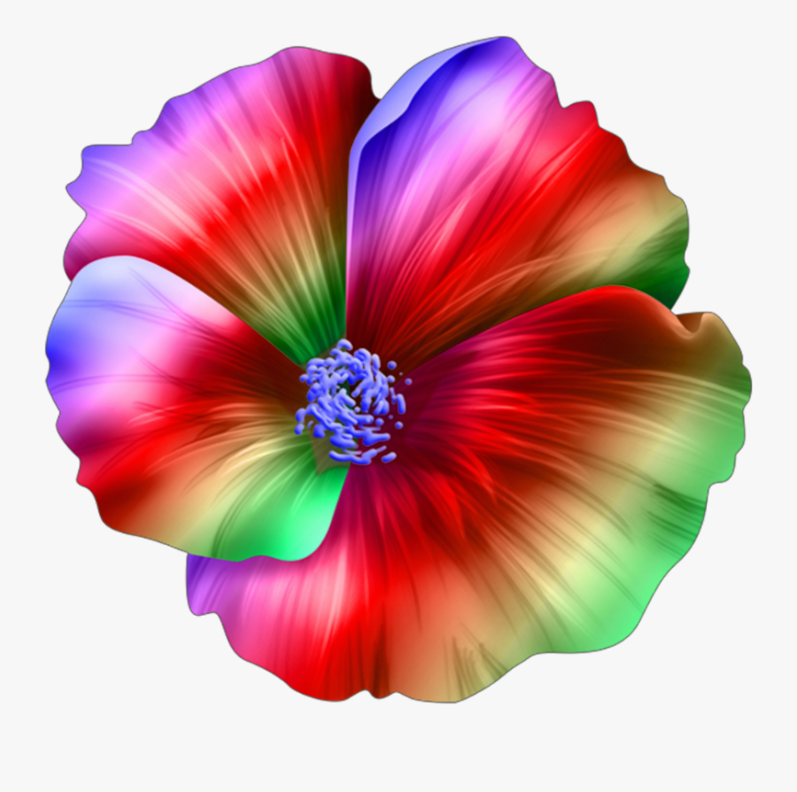#flower #tropical #hawaiian #island #flowers #colors - Hibiscus Hawaiian Tropical Flowers, Transparent Clipart