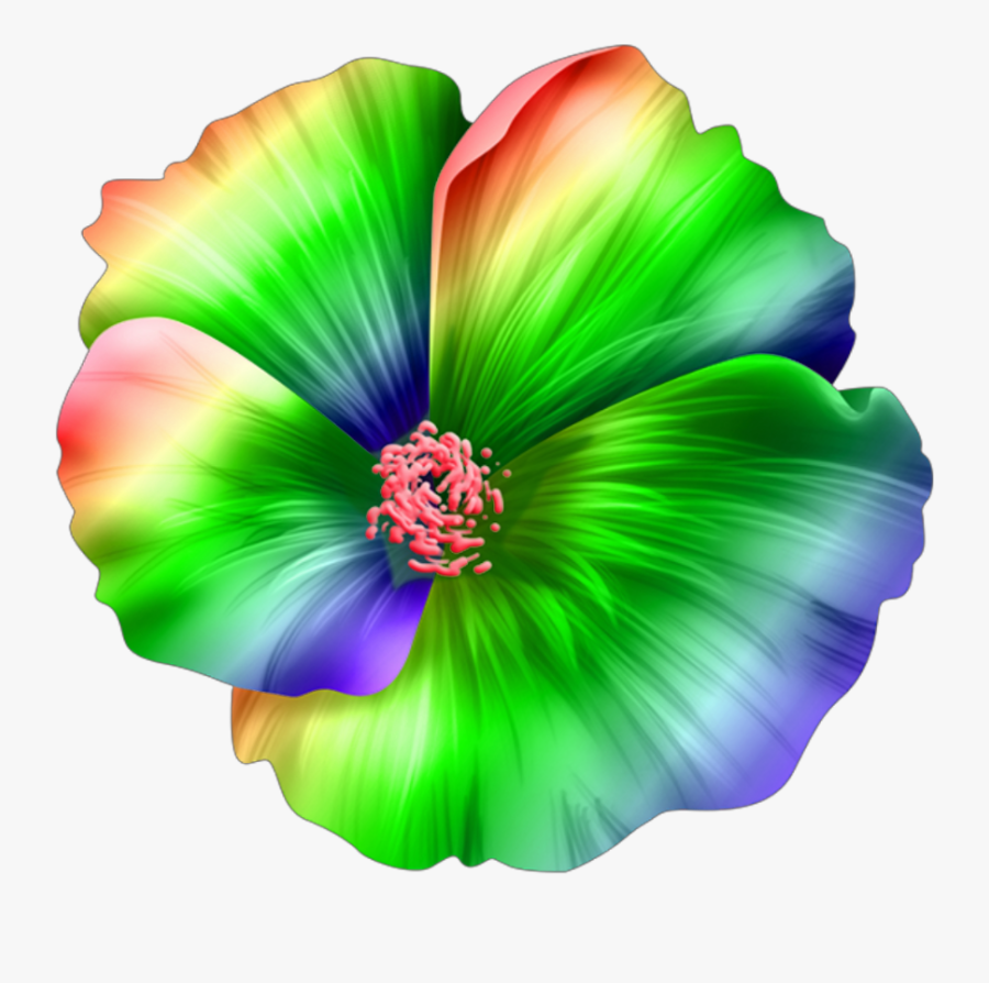 #flower #tropical #hawaiian #island #flowers #colors - Flower Tropical Hawaiian, Transparent Clipart