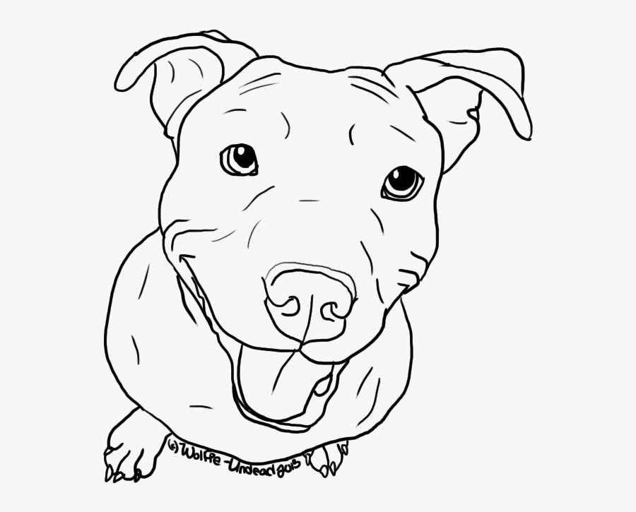 Transparent Pitbull Clipart - Cute Pitbull Face Drawing, Transparent Clipart