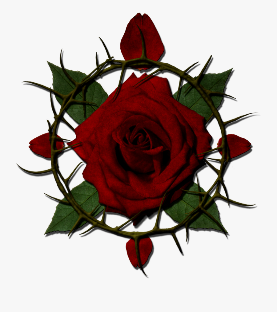Rose With Thorns Clipart , Png Download - Rose With Thorns Transparent, Transparent Clipart