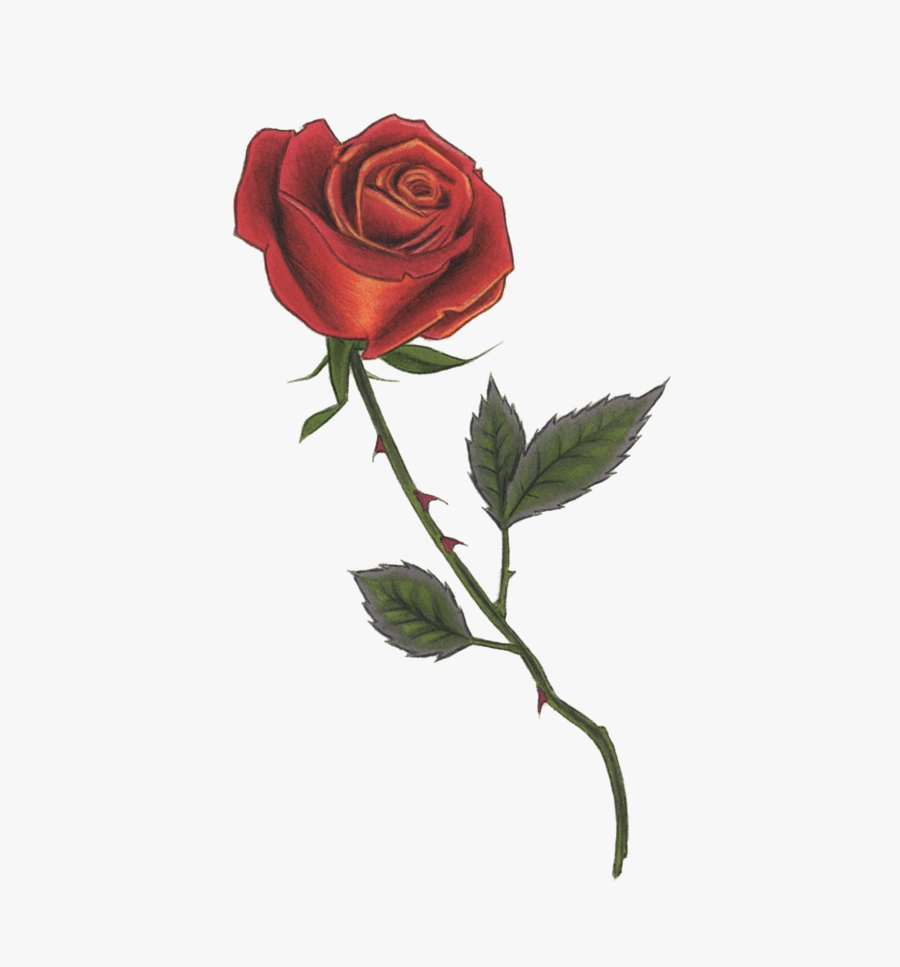 Red Rose Png Drawing, Transparent Clipart