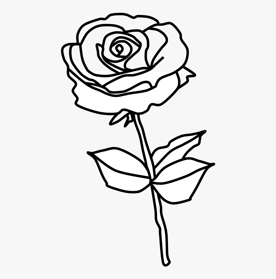 Rose, Thorns, Black And White - Rose With Thorns Drawing, Transparent Clipart