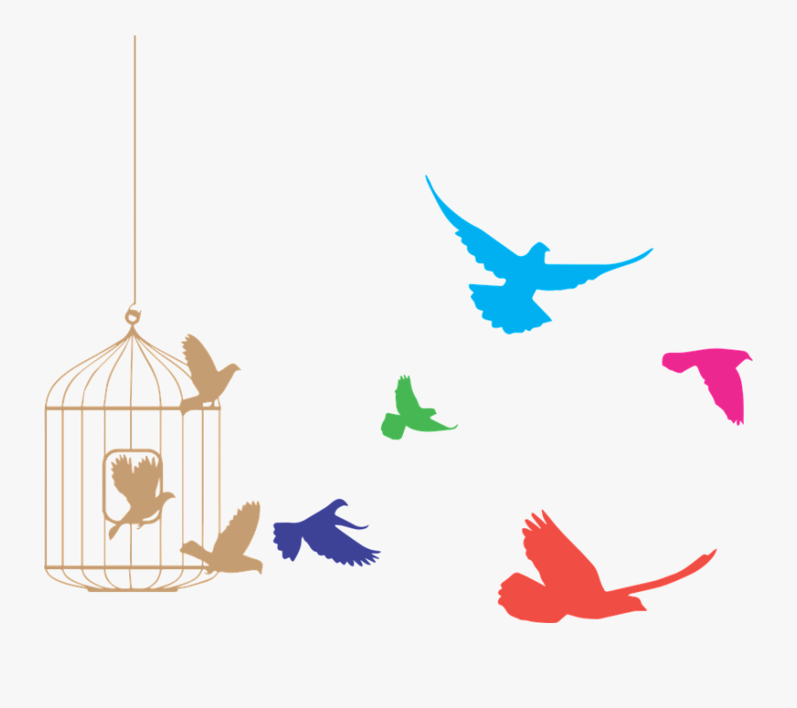 Transparent Tuck Everlasting Clipart - Birds Flying Out Of Cage, Transparent Clipart