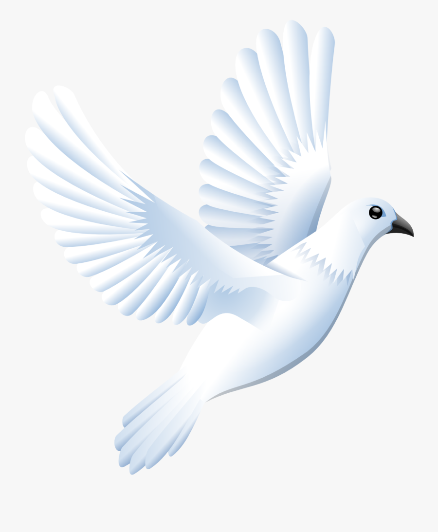 Vector Files Dove - White Dove Bird Png, Transparent Clipart